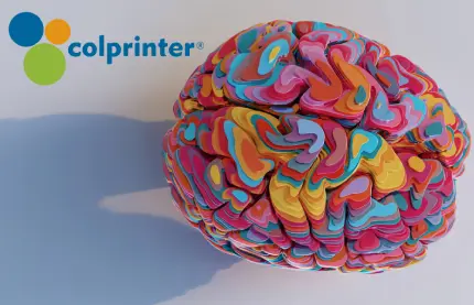 Cerebro colorido